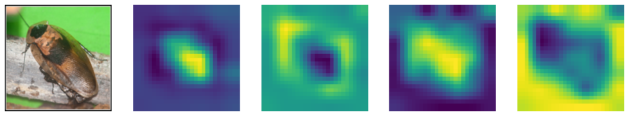 FocalNet screenshot 7