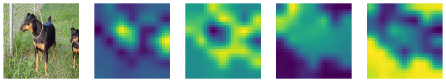 FocalNet screenshot 5