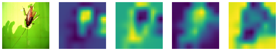 FocalNet screenshot 6