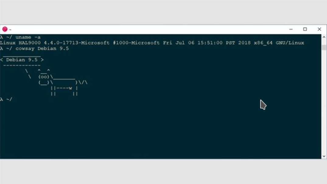 WSL-Guide screenshot 11