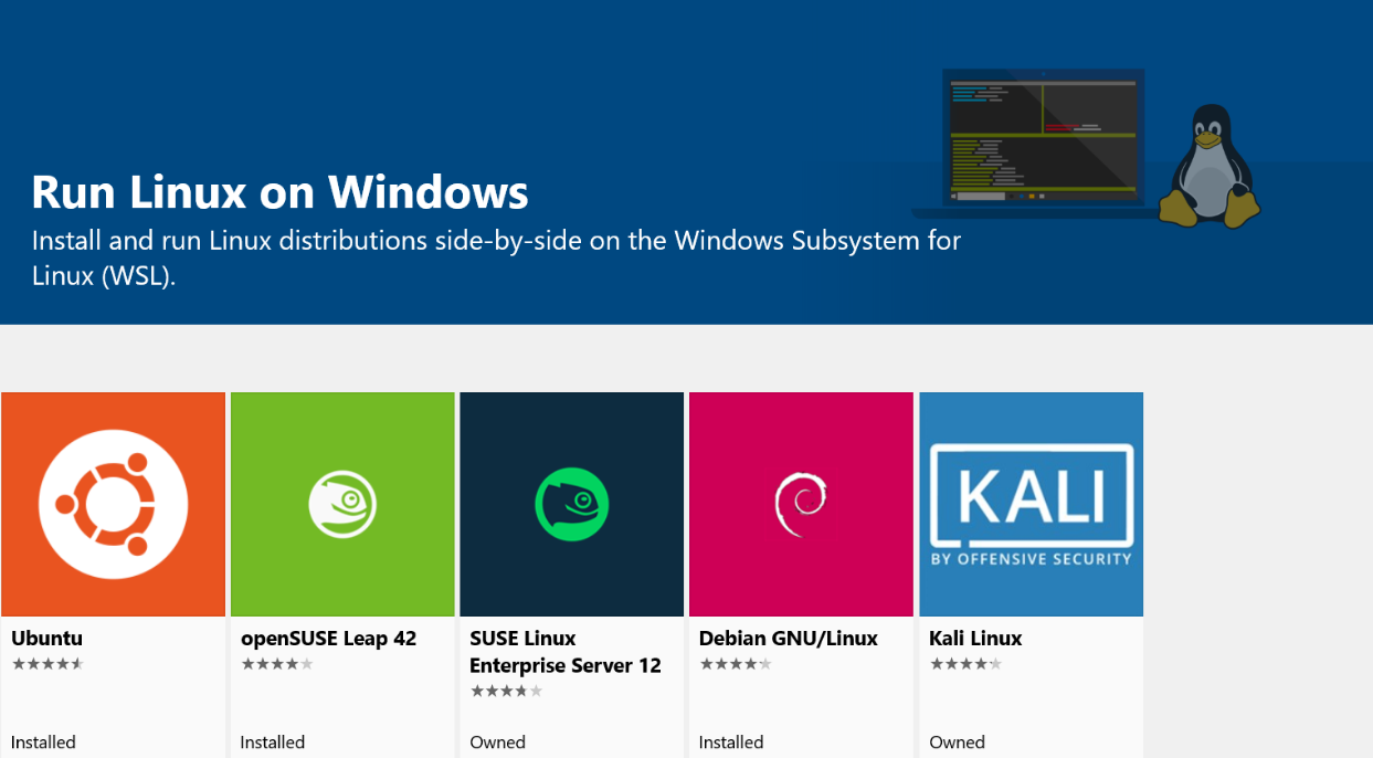 WSL-Guide screenshot 3