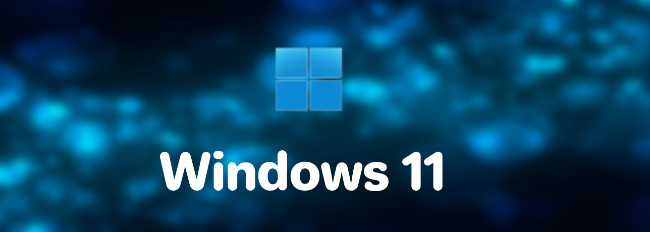 Windows-11-Guide screenshot 2
