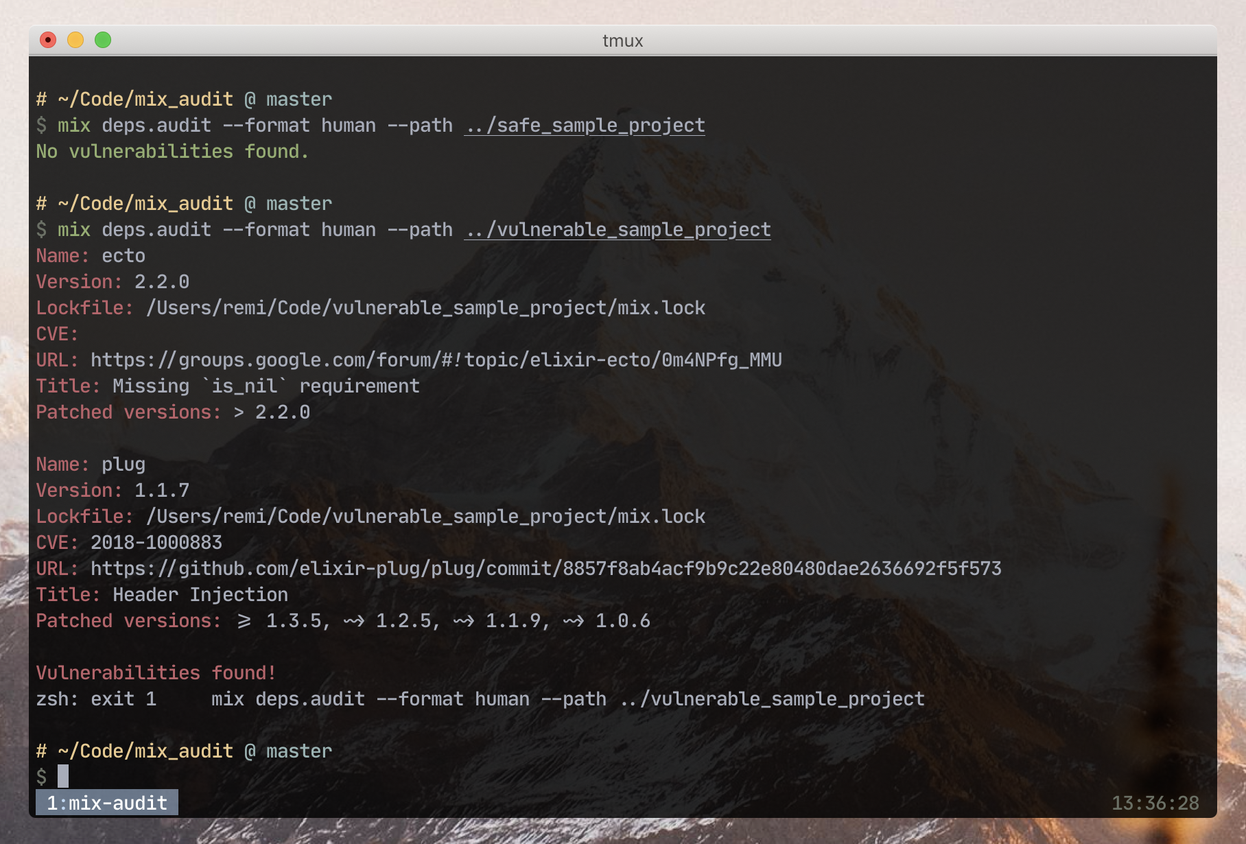 mix_audit screenshot 2