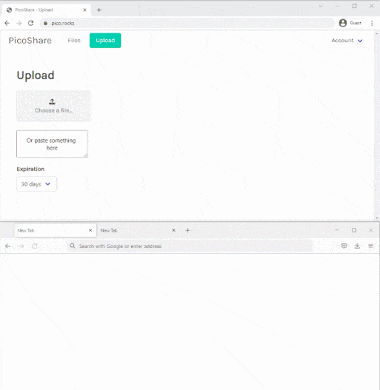 picoshare screenshot 1