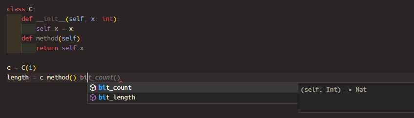 pylyzer screenshot 5