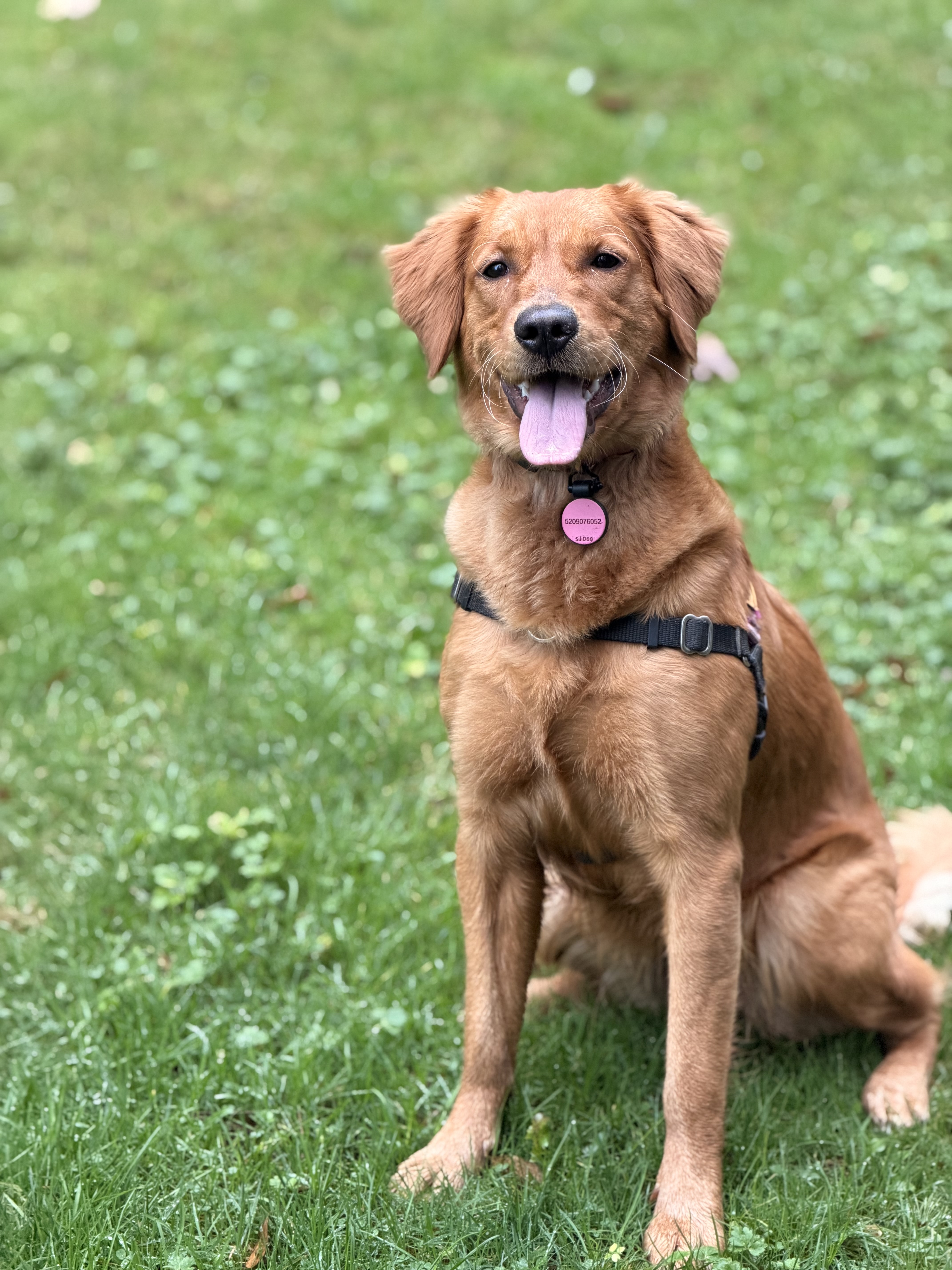 last30days-skill screenshot 2