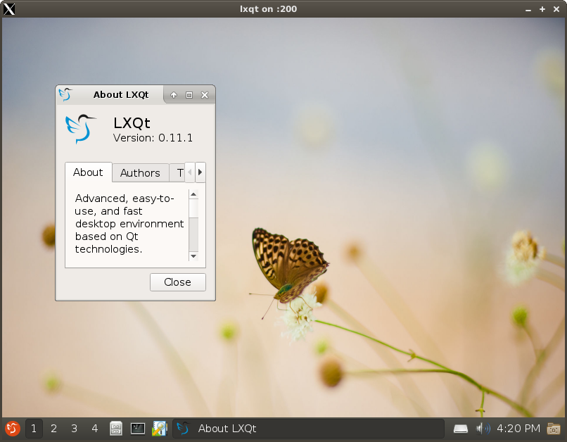 x11docker screenshot 2