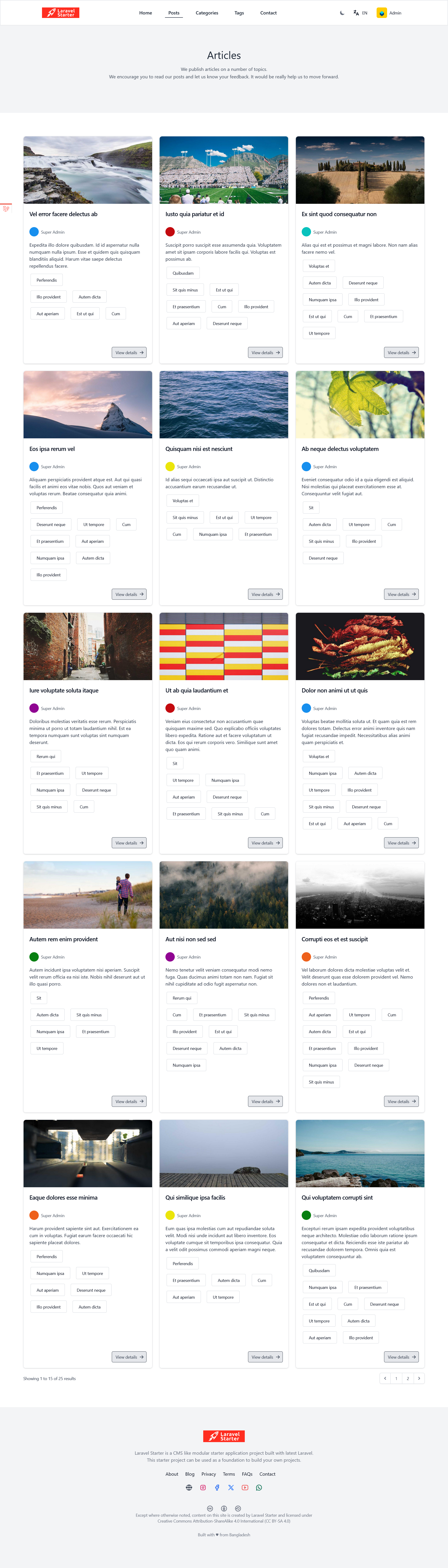 laravel-starter screenshot 5