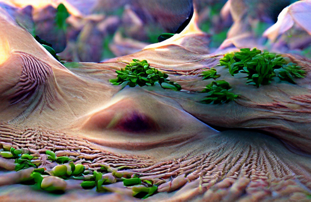 VQGAN-CLIP screenshot 7