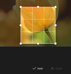 tui.image-editor screenshot 3