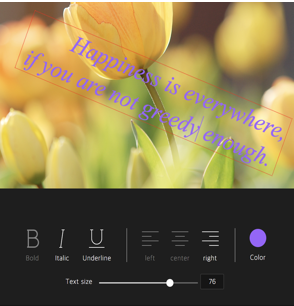 tui.image-editor screenshot 9