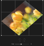 tui.image-editor screenshot 5