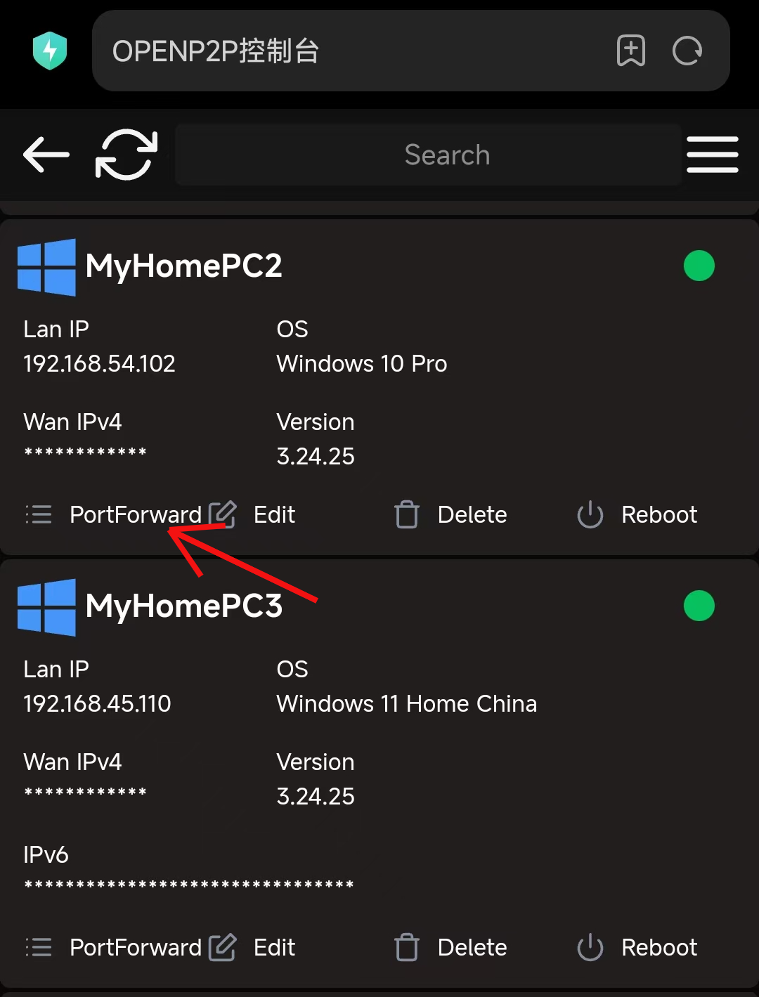 openp2p screenshot 5