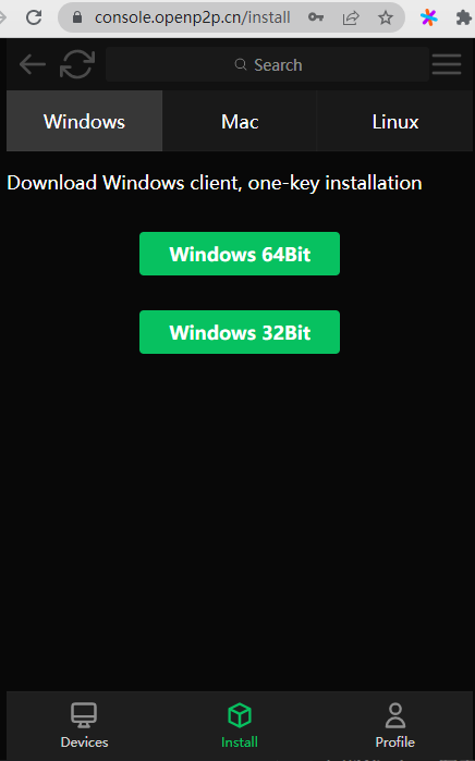openp2p screenshot 2