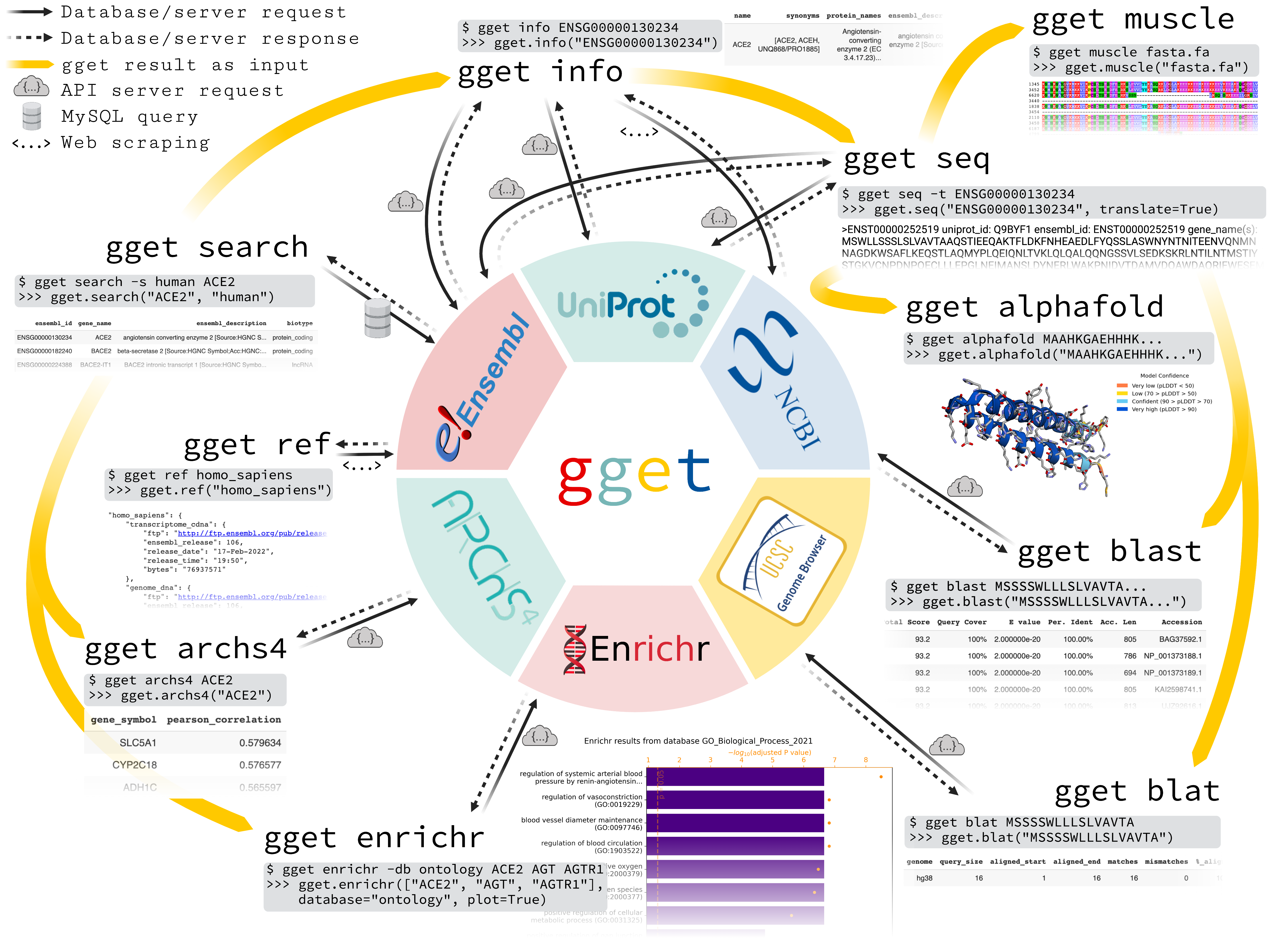 gget screenshot 1