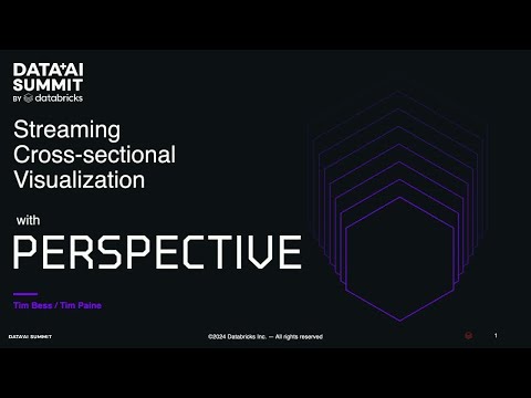 perspective screenshot 17