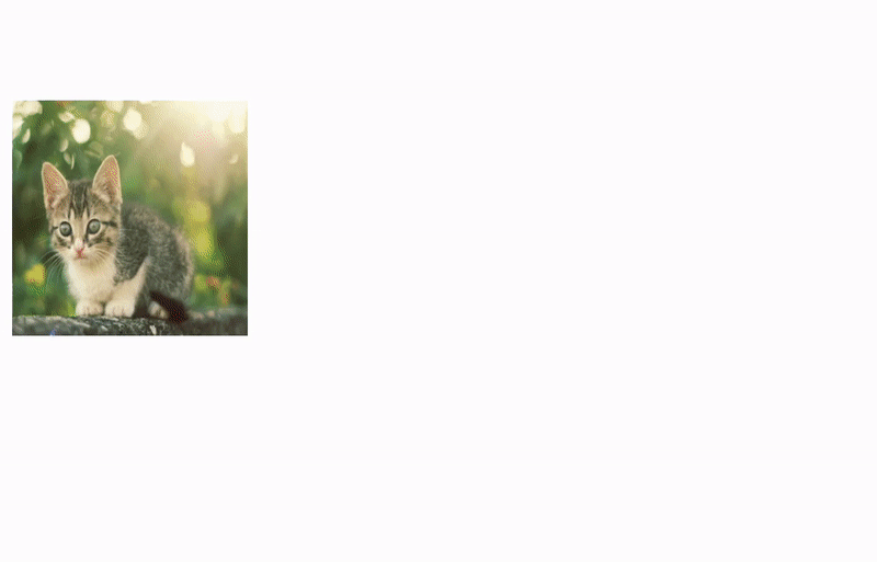 pix2pix-zero screenshot 1