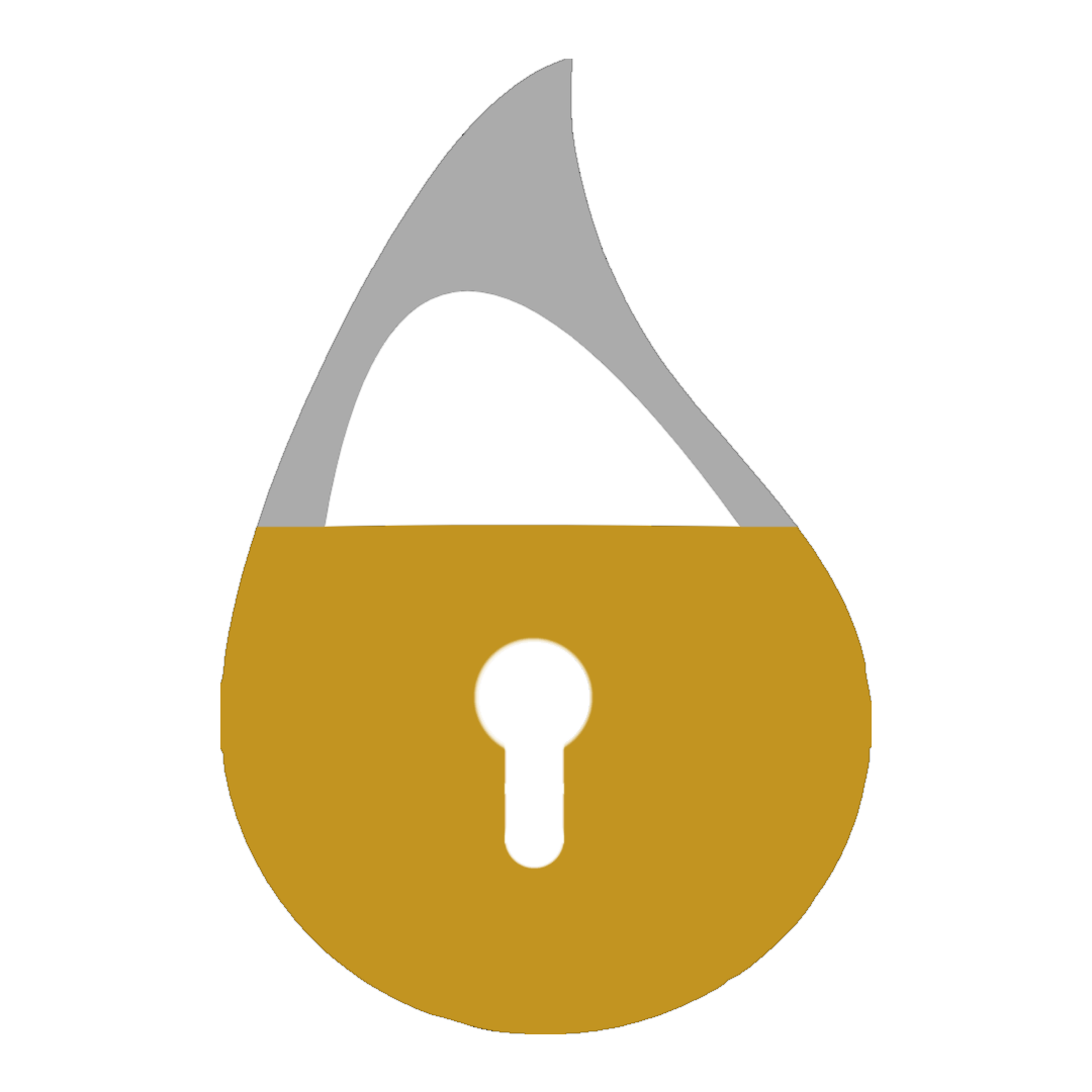 elixir-secure-coding screenshot 1