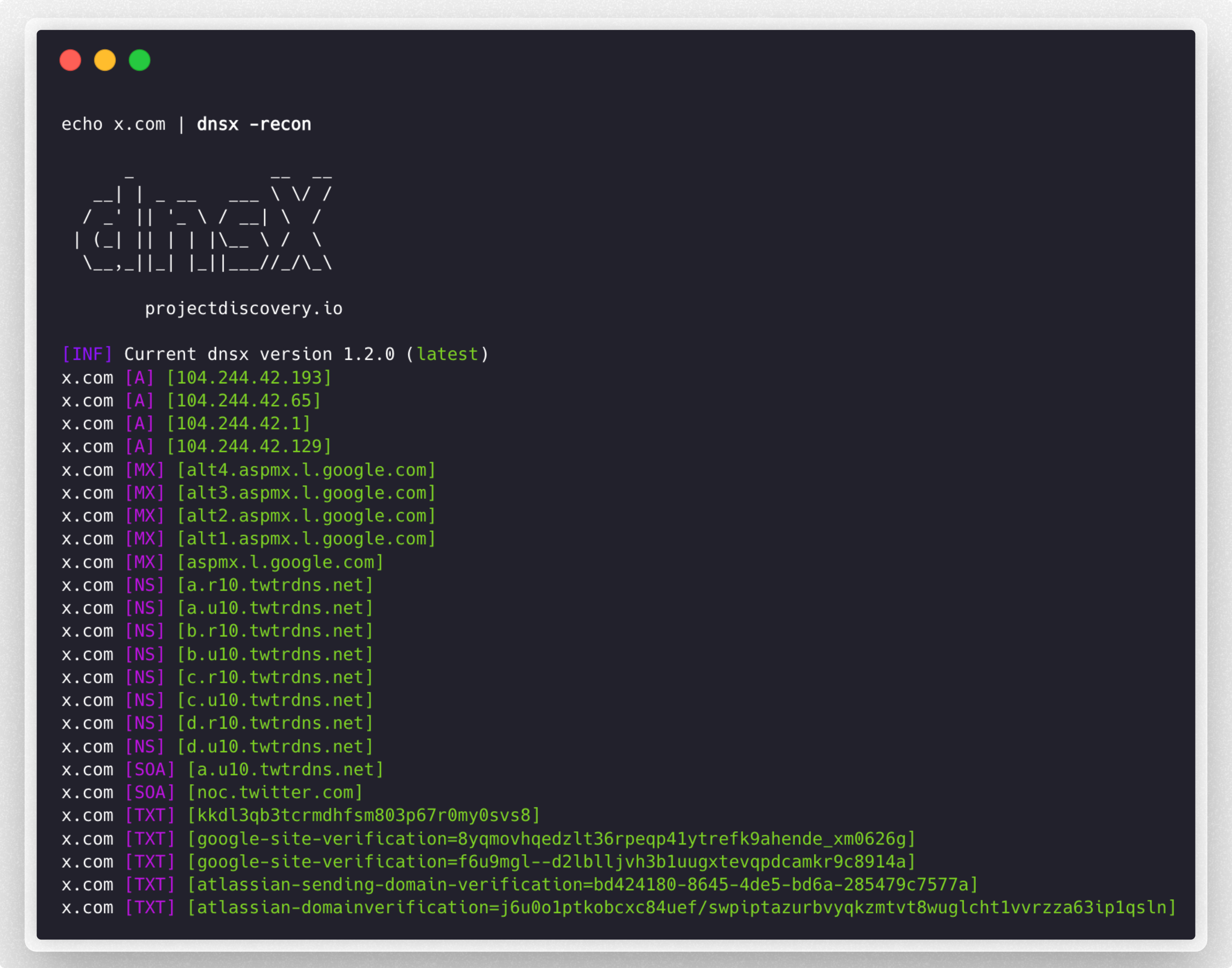 dnsx screenshot 1