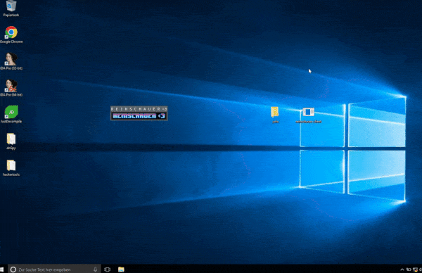 reinschauer screenshot 2
