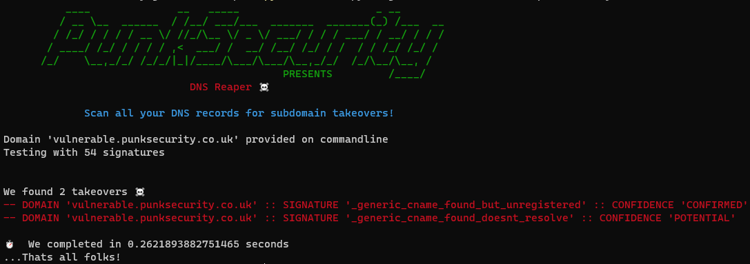 dnsReaper screenshot 1