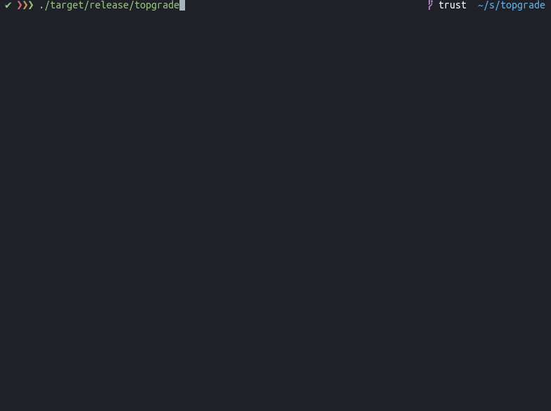 topgrade screenshot 2