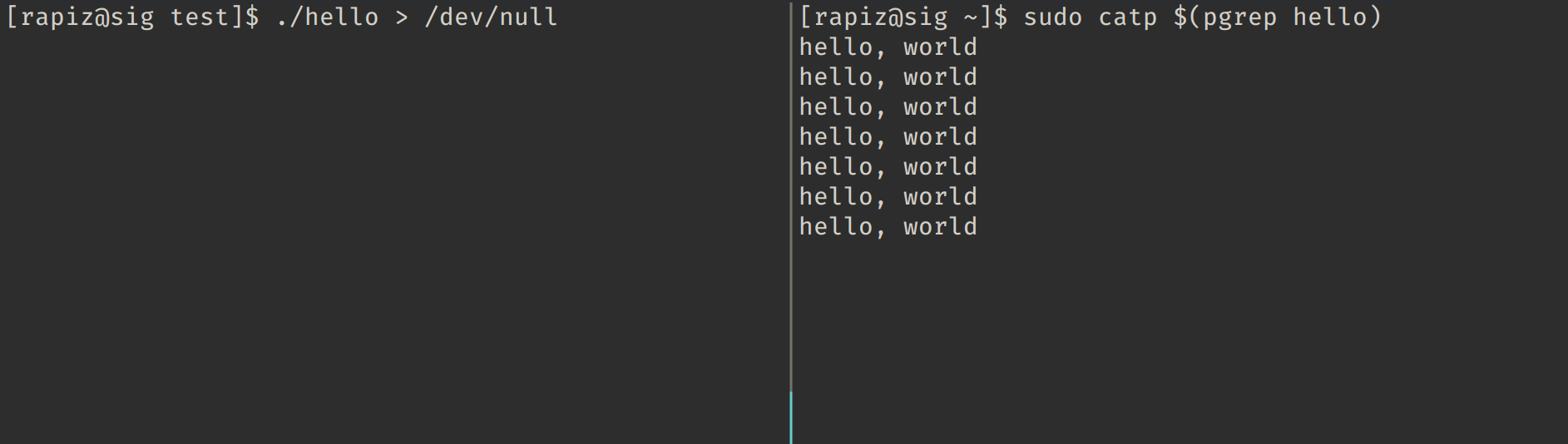 catp screenshot 1