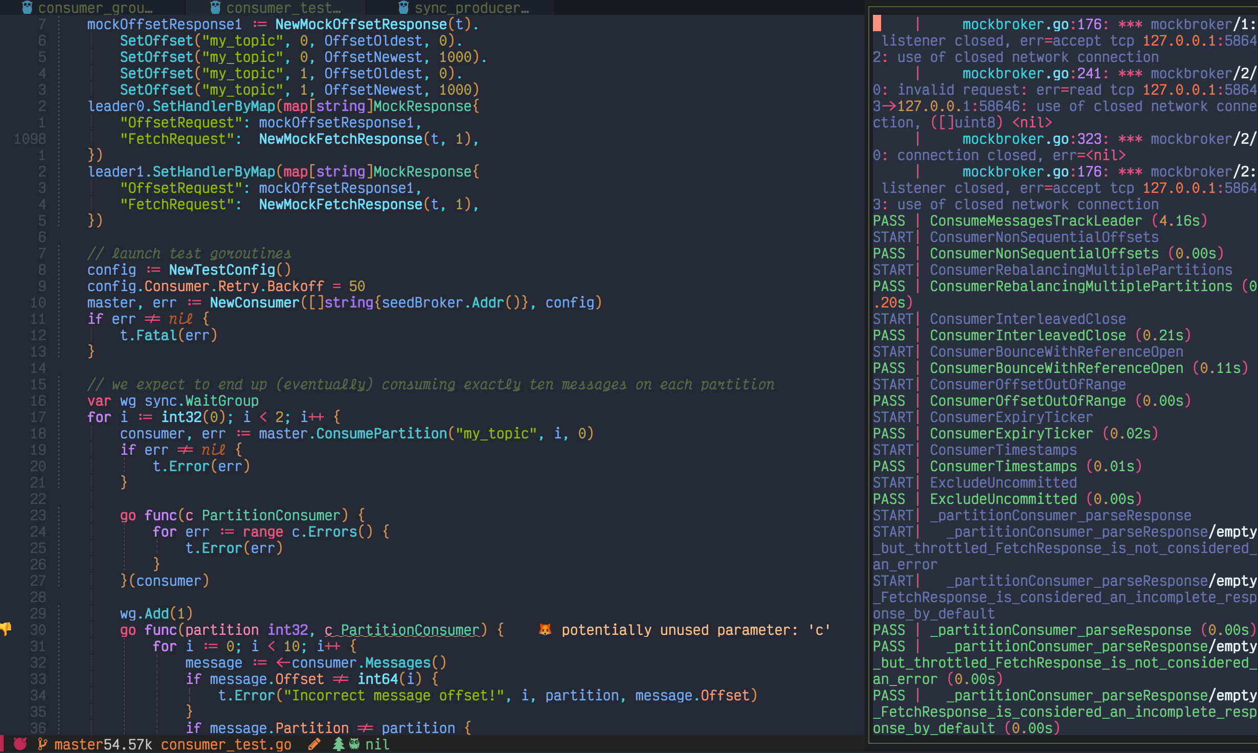 go.nvim screenshot 4