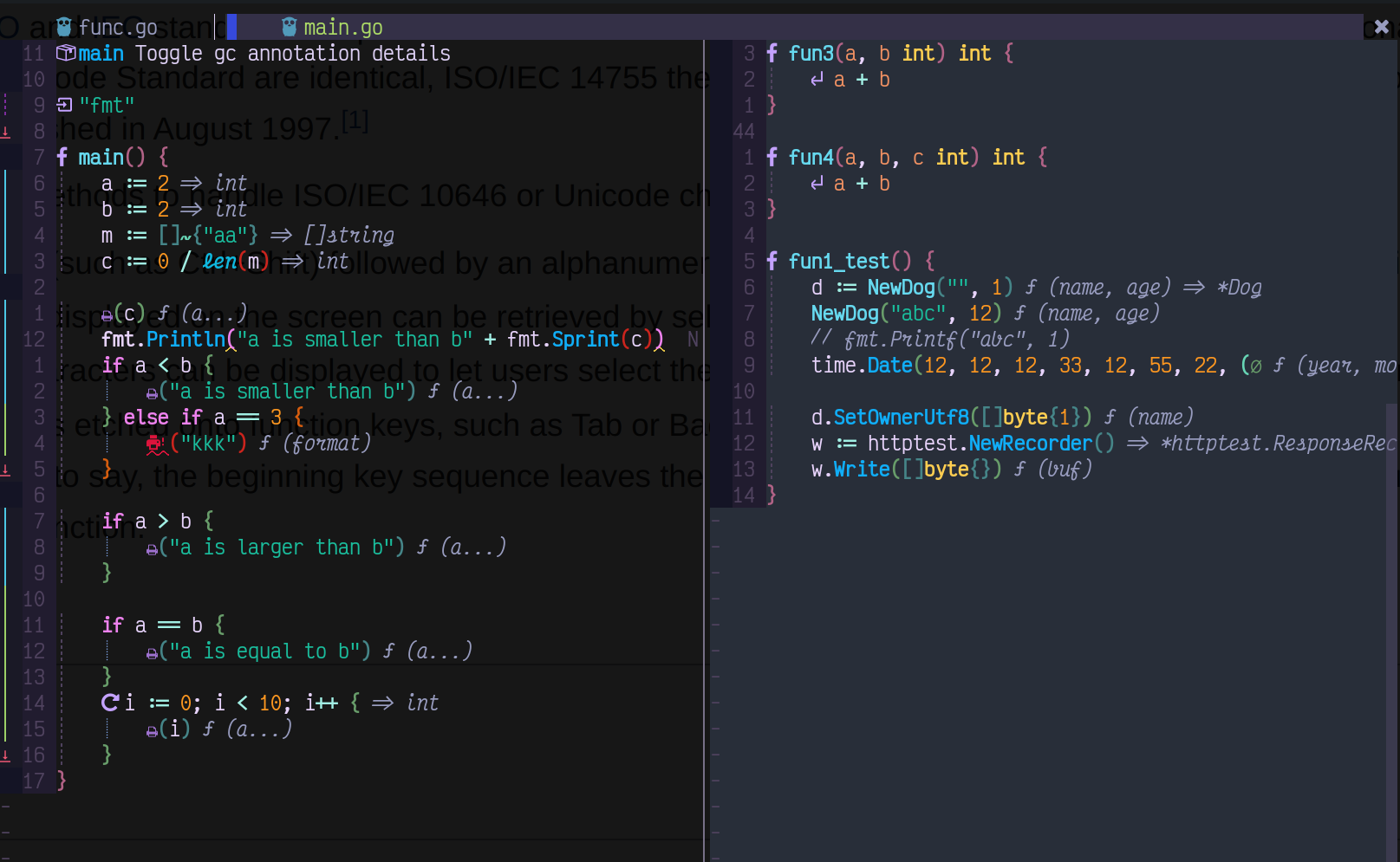 go.nvim screenshot 13