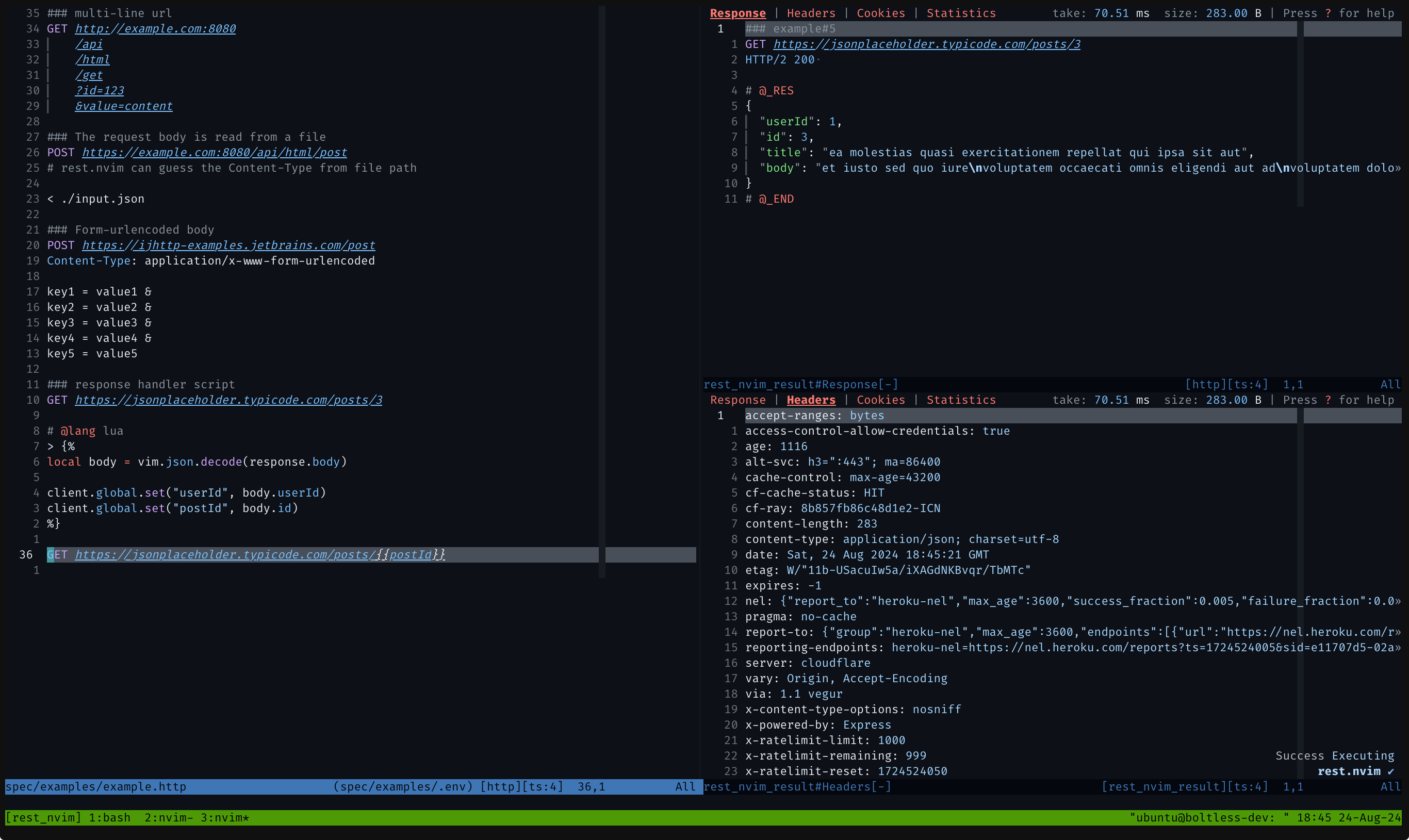 rest.nvim screenshot 1