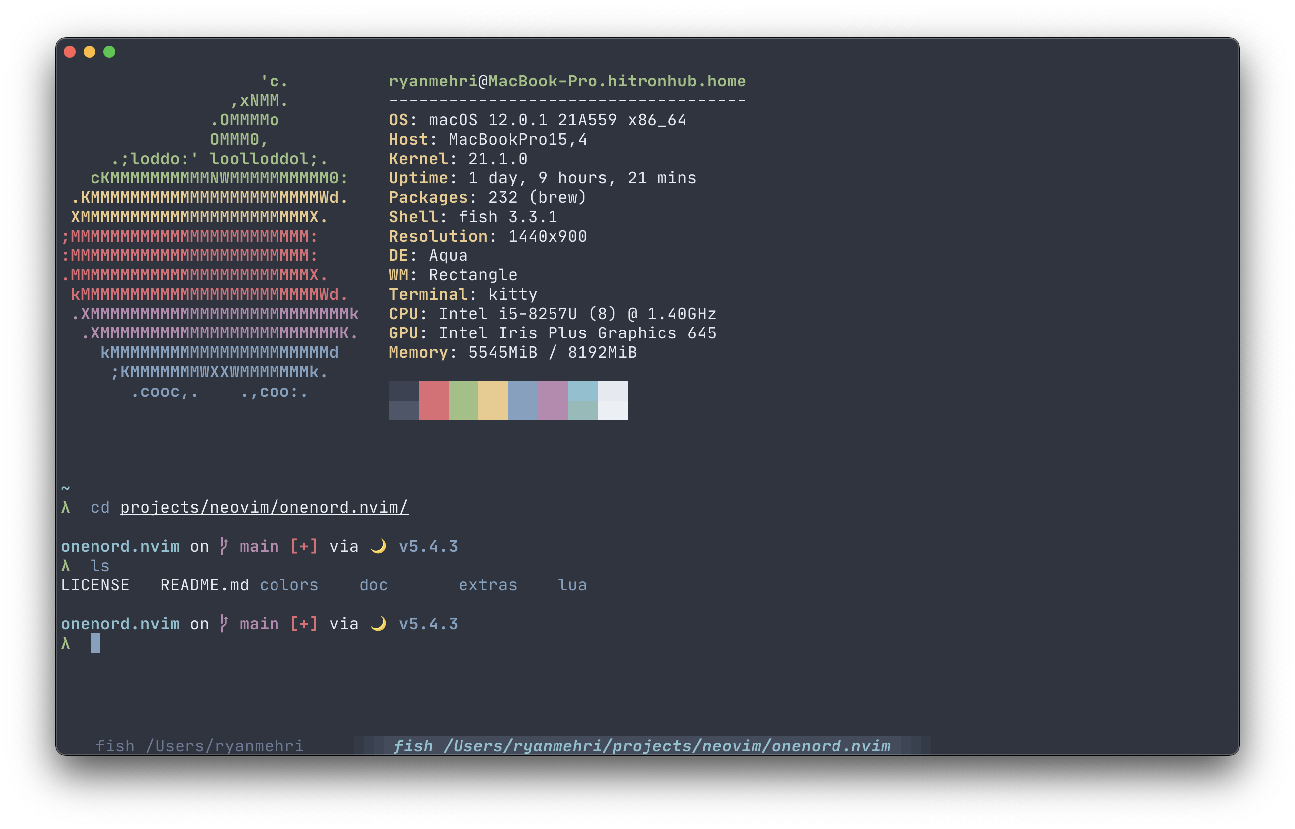 onenord.nvim screenshot 3