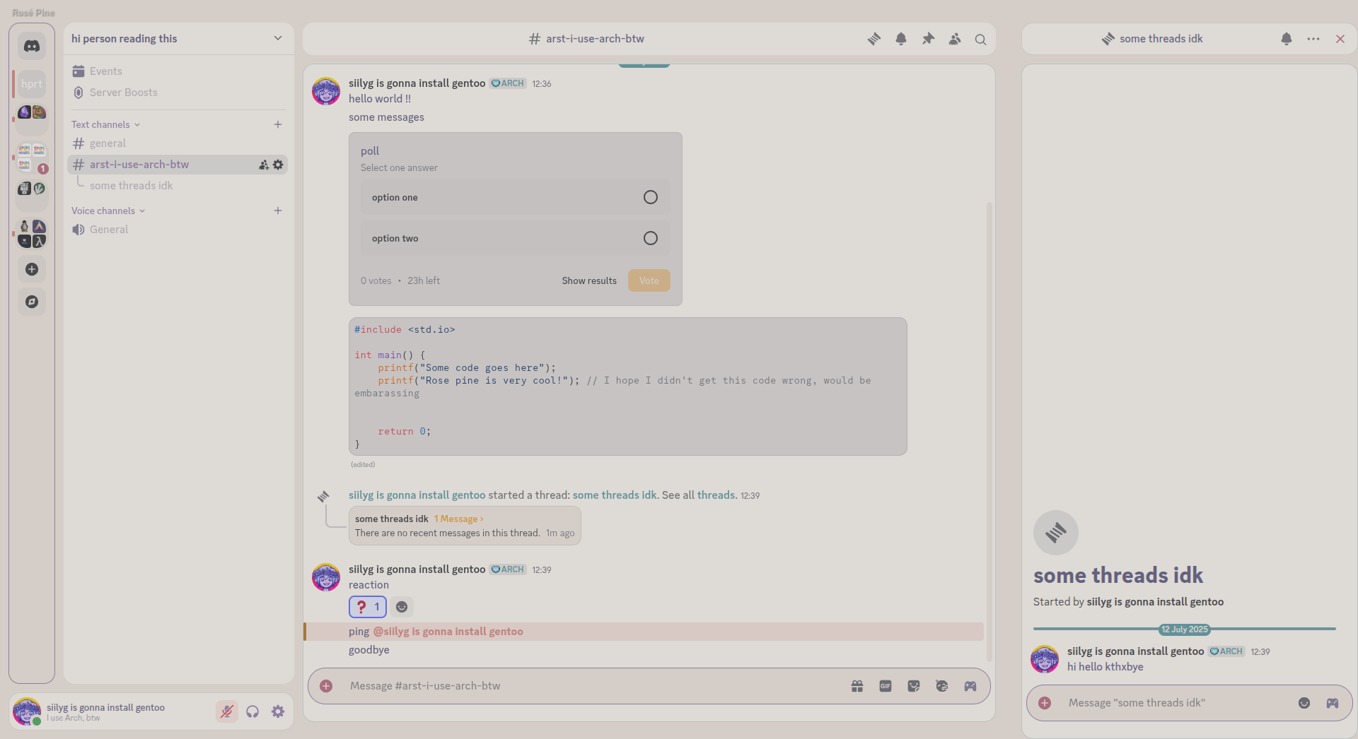 discord screenshot 3