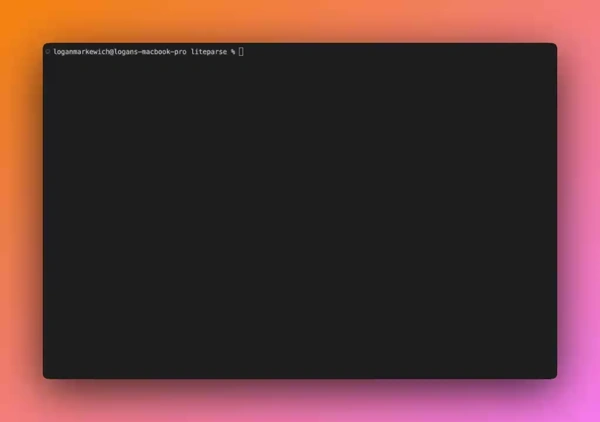 liteparse screenshot 1