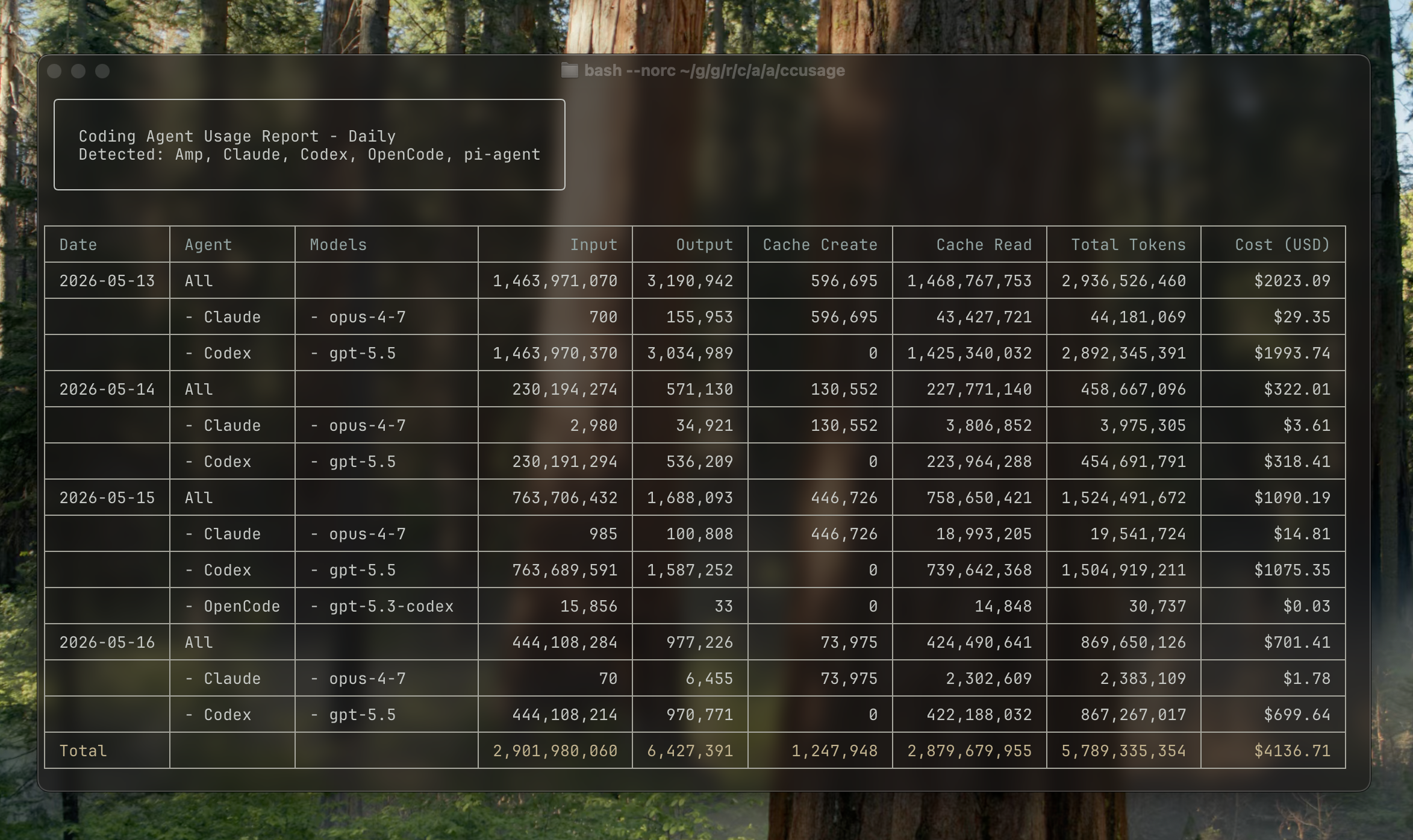 ccusage screenshot 1