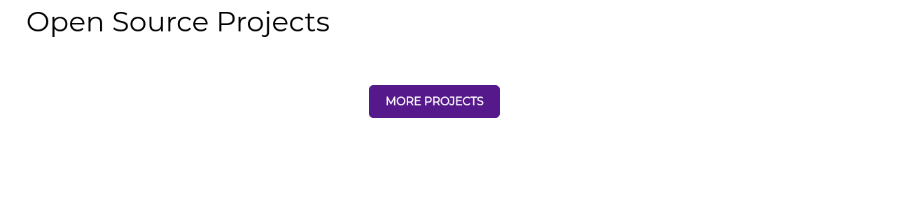 developerFolio screenshot 2