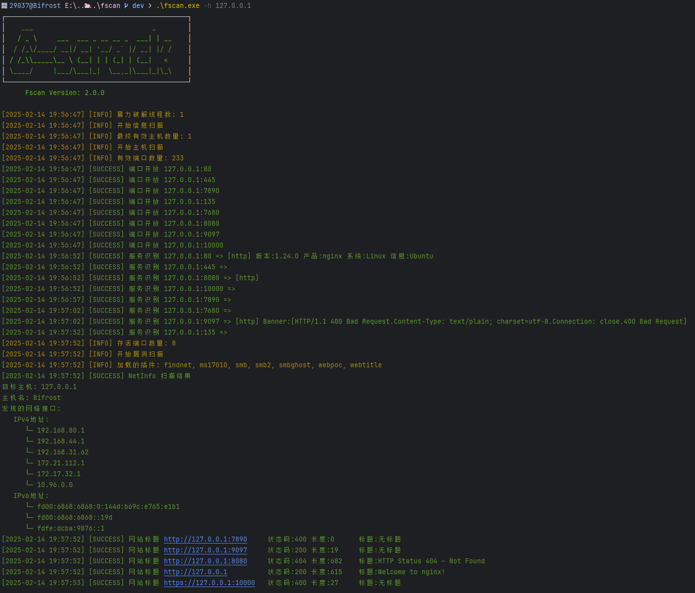 fscan screenshot 9