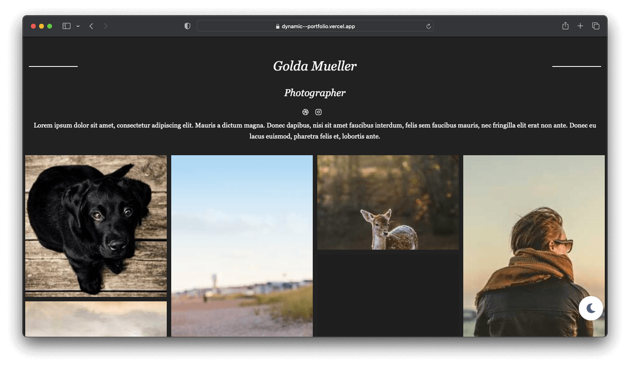 dynamic-portfolio screenshot 4