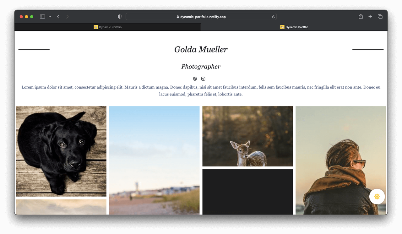 dynamic-portfolio screenshot 3