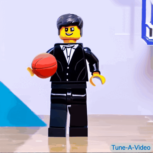Tune-A-Video screenshot 17
