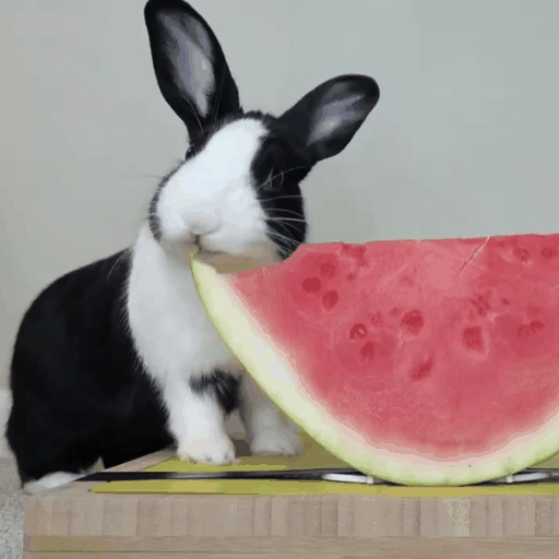 Tune-A-Video screenshot 6
