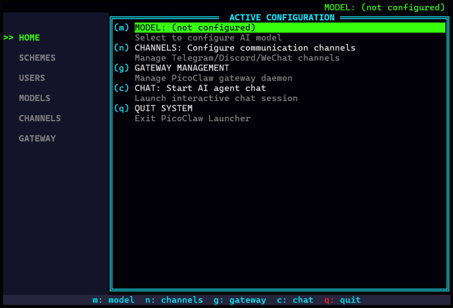 picoclaw screenshot 11