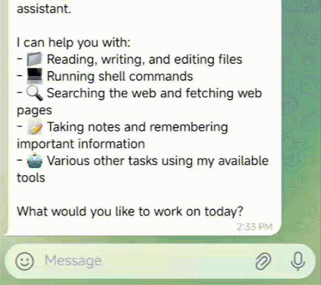 picoclaw screenshot 5