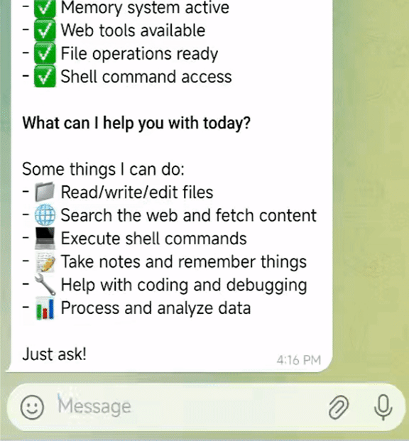 picoclaw screenshot 6