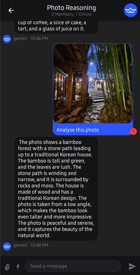 gemini-android screenshot 3
