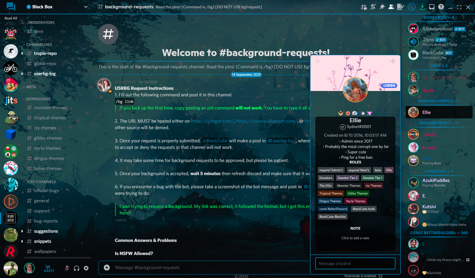 Discord-Themes screenshot 2