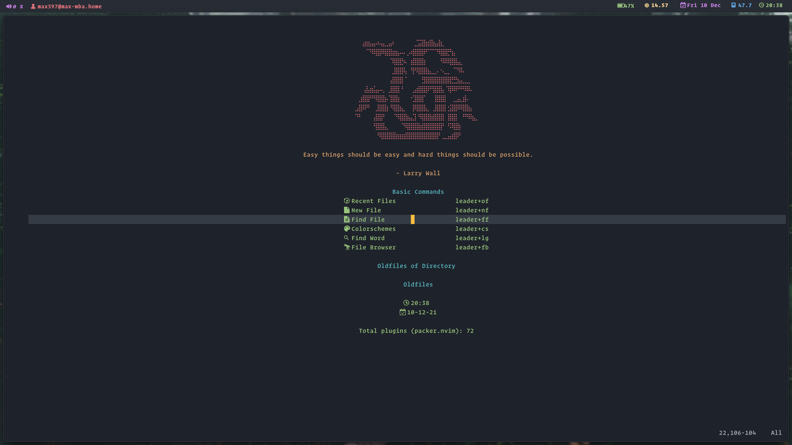 startup.nvim screenshot 7