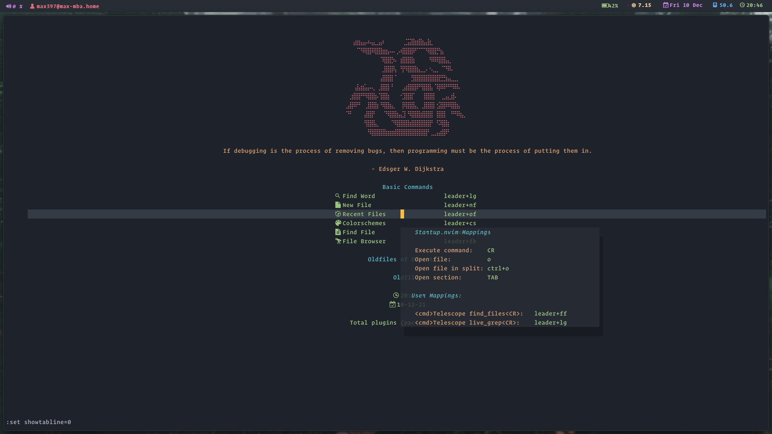 startup.nvim screenshot 6