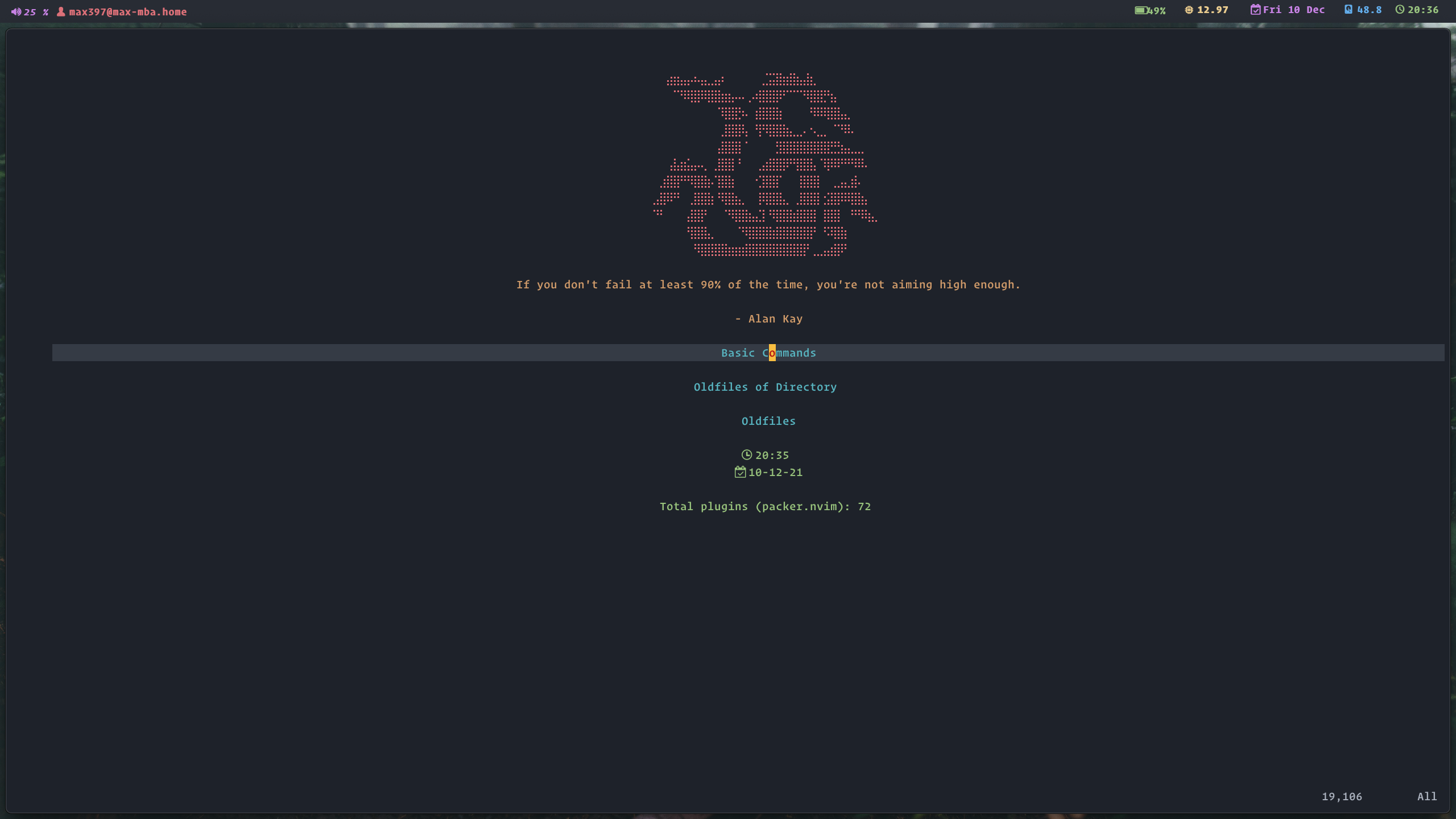 startup.nvim screenshot 4