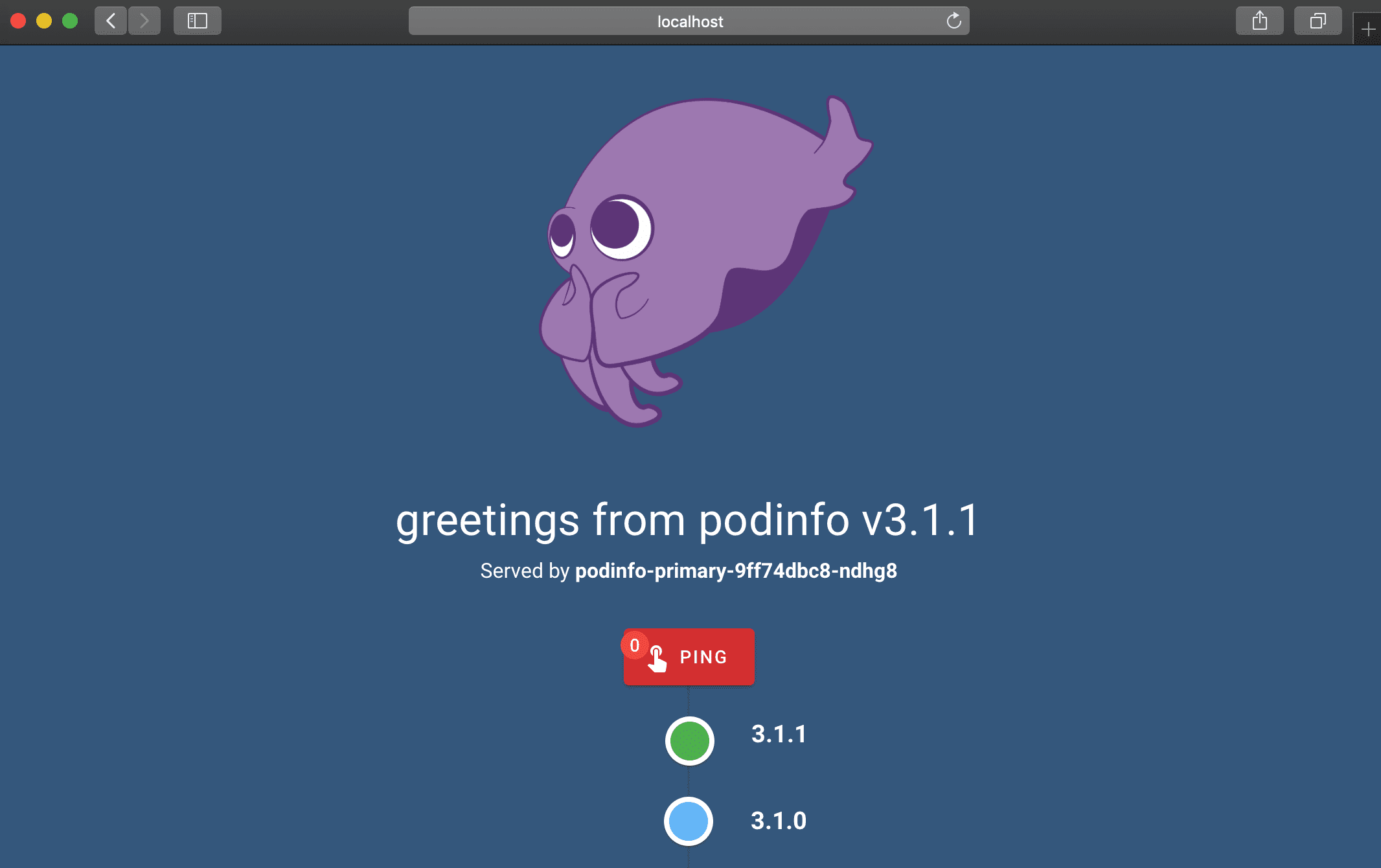 podinfo screenshot 1